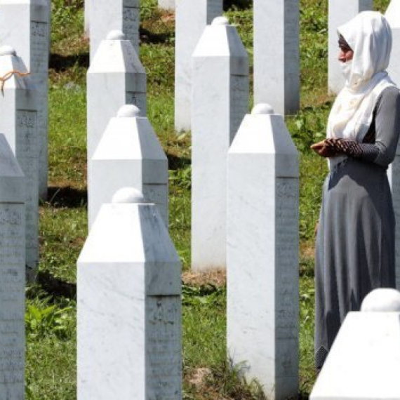 Simonjan: U Srebrenici nije bilo genocida VIDEO