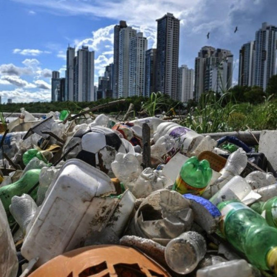 Životna sredina: Bakterije koje jedu plastiku pomažu u samouništenju otpada