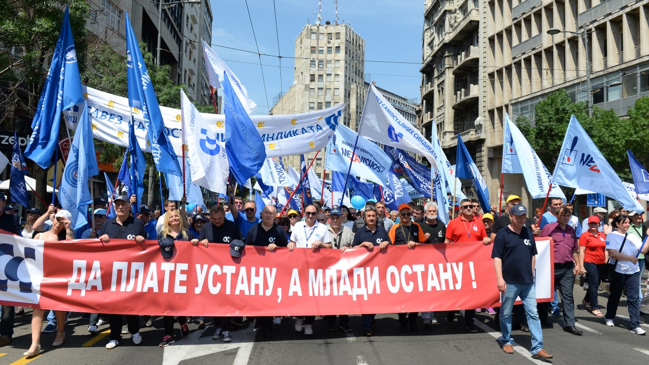 Maja belgrade srpski amateri