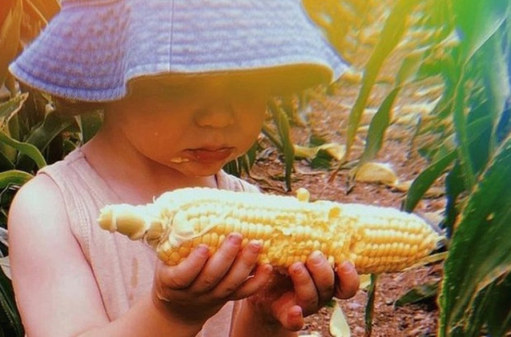 Deca: Šestogodišnjak koji obožava povrće, ne jede meso, brine se zbog klimatskih promena i ima veganski kanal na Jutjubu