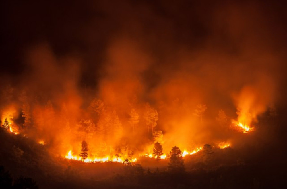 Gori u Grčkoj: Više od 70 požara VIDEO