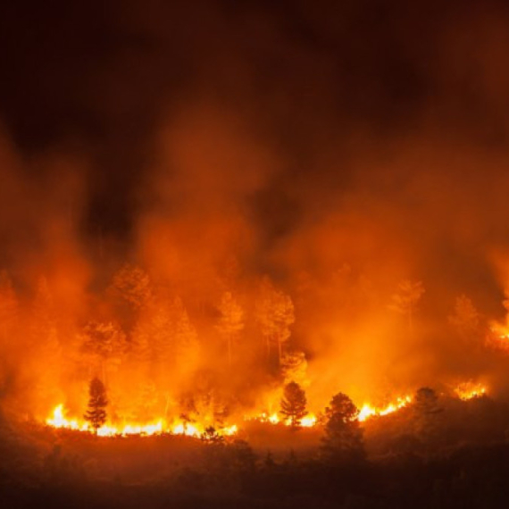 Veliki šumski požar u južnoj Kaliforniji: Evakuisano više od 1.200 ljudi