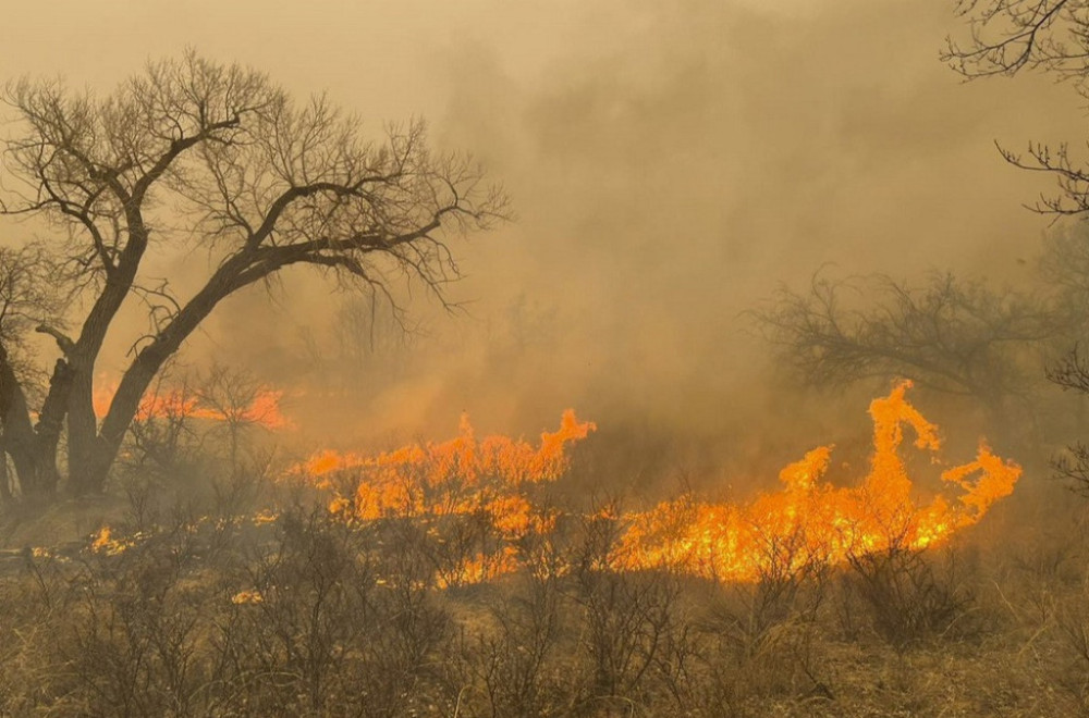 Veliki šumski požar kod Atine: Podignuto 17 aviona VIDEO