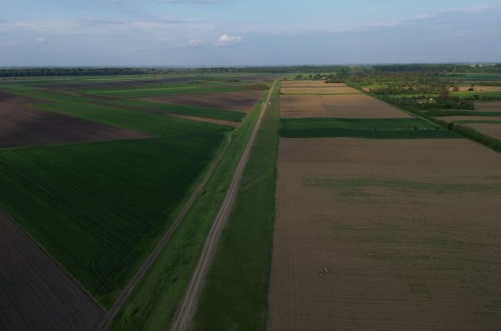 Žene vlasnice svega 10% ukupnih obradivih poljoprivrednih površina u Srbiji