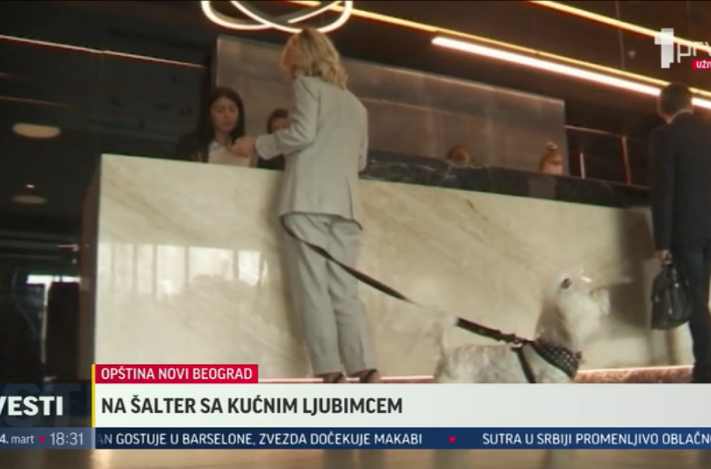 Od sada na šalter sa kućnim ljubimcem u ovim beogradskim opštinama VIDEO