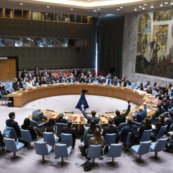 These five countries are new members of the UN Security Council