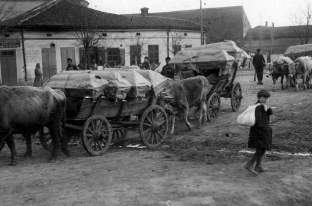 Prvi svetski rat i Srbija: Kako je jedno bure zaustavilo pomor od tifusa