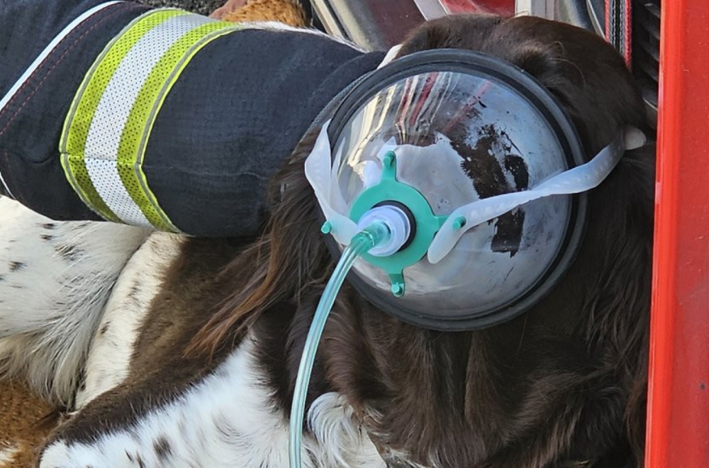 Životinje: Zagrebački vatrogasci nabavili maske za kiseonik za pse i mačke