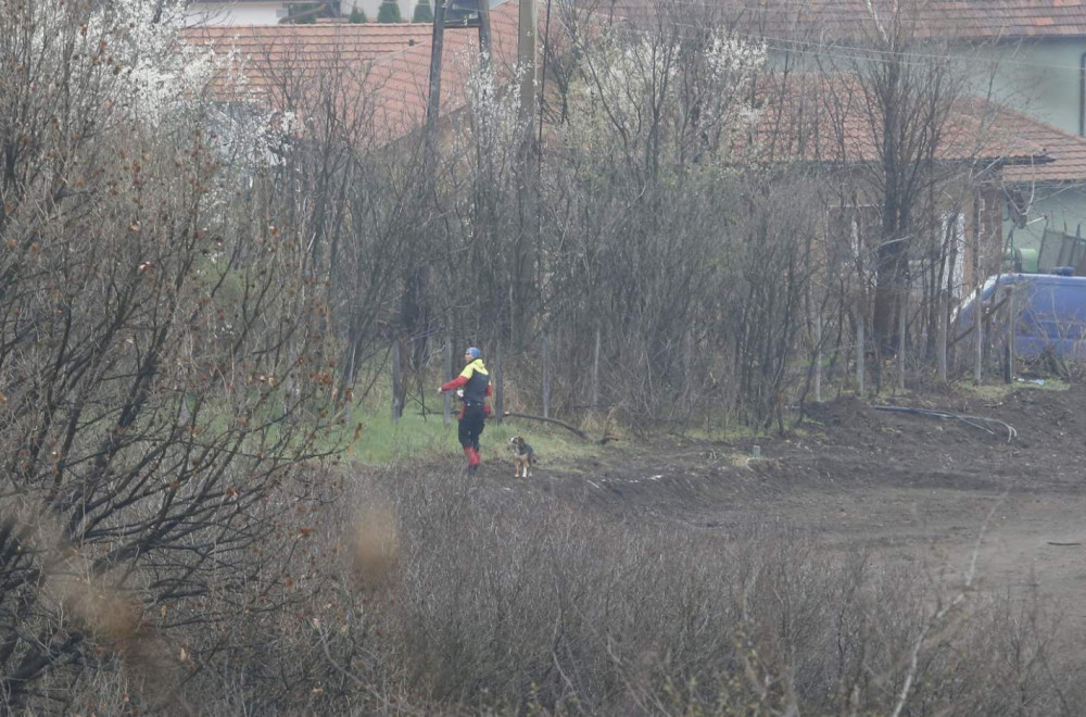 Stigla DNK i GPS veštačenja u slučaju Danke Ilić; Hoće li biti podignuta optužnica?