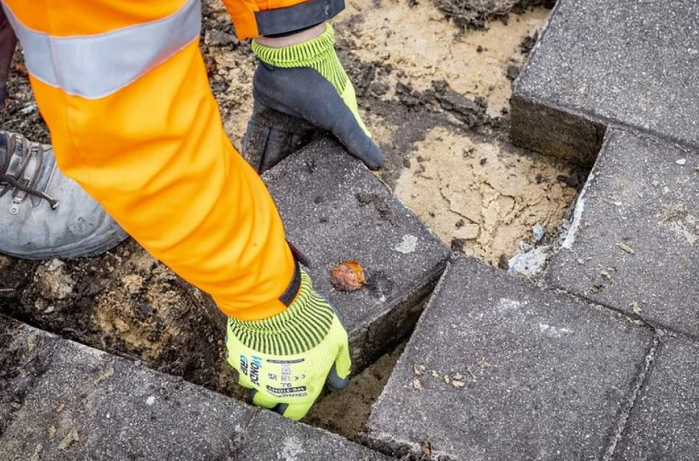 Životna sredina i urbanizam: Svetski gradovi zamenjuju asfalt biljkama i zemljom