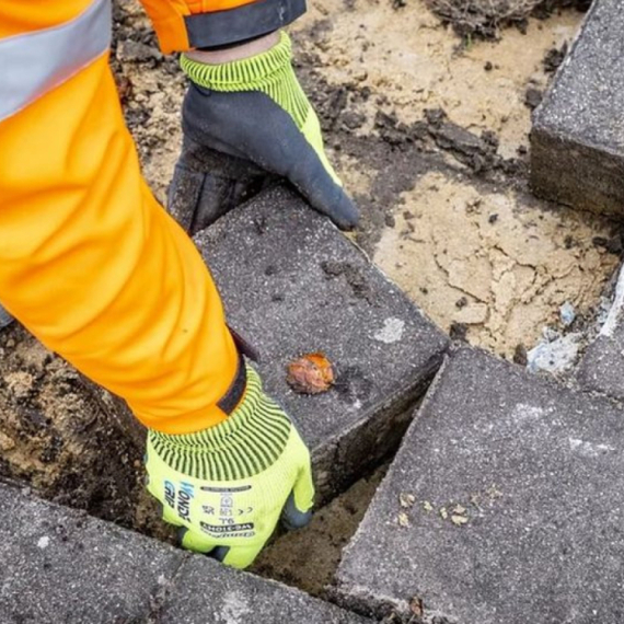 Životna sredina i urbanizam: Svetski gradovi zamenjuju asfalt biljkama i zemljom