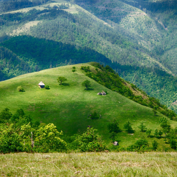 Ova srpska planina je raj za alergične