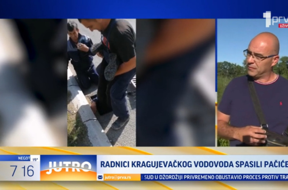 Oni su heroji iz Kragujevca: Spasli pačiće iz nevolje VIDEO