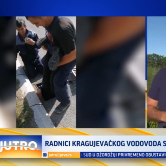 Oni su heroji iz Kragujevca: Spasli pačiće iz nevolje VIDEO