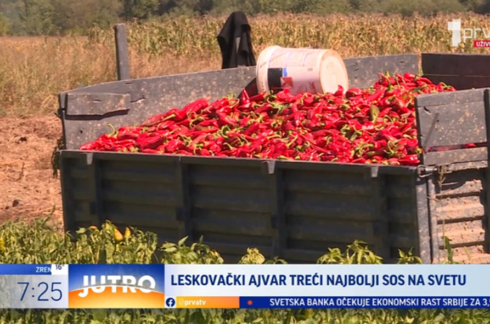 Leskovački ajvar treći najbolji sos na svetu VIDEO