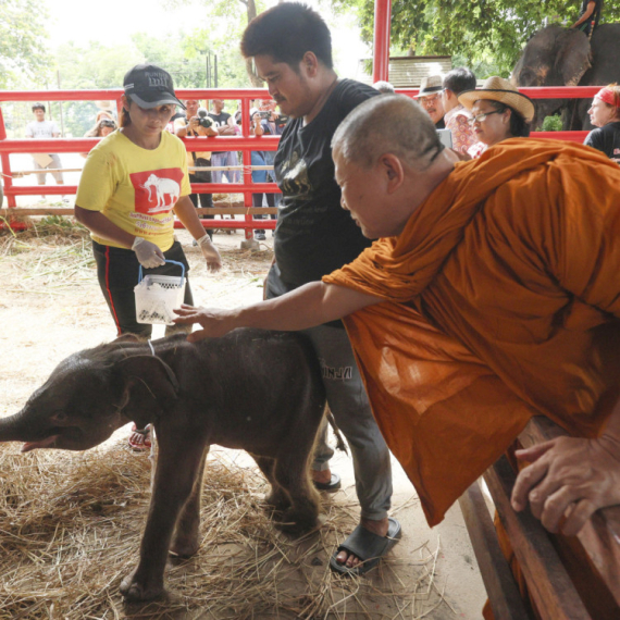 Čudo na Tajlandu: Monasi blagosiljali FOTO