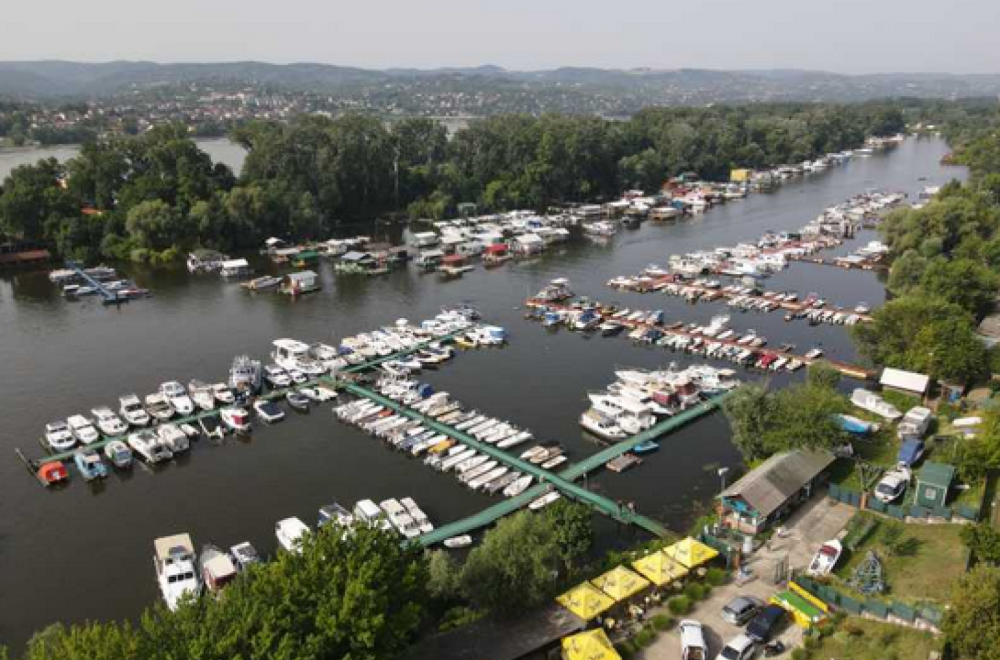 Počela međunarodna regata u Novom Sadu: Čak 85 plovila i 250 učesnika FOTO