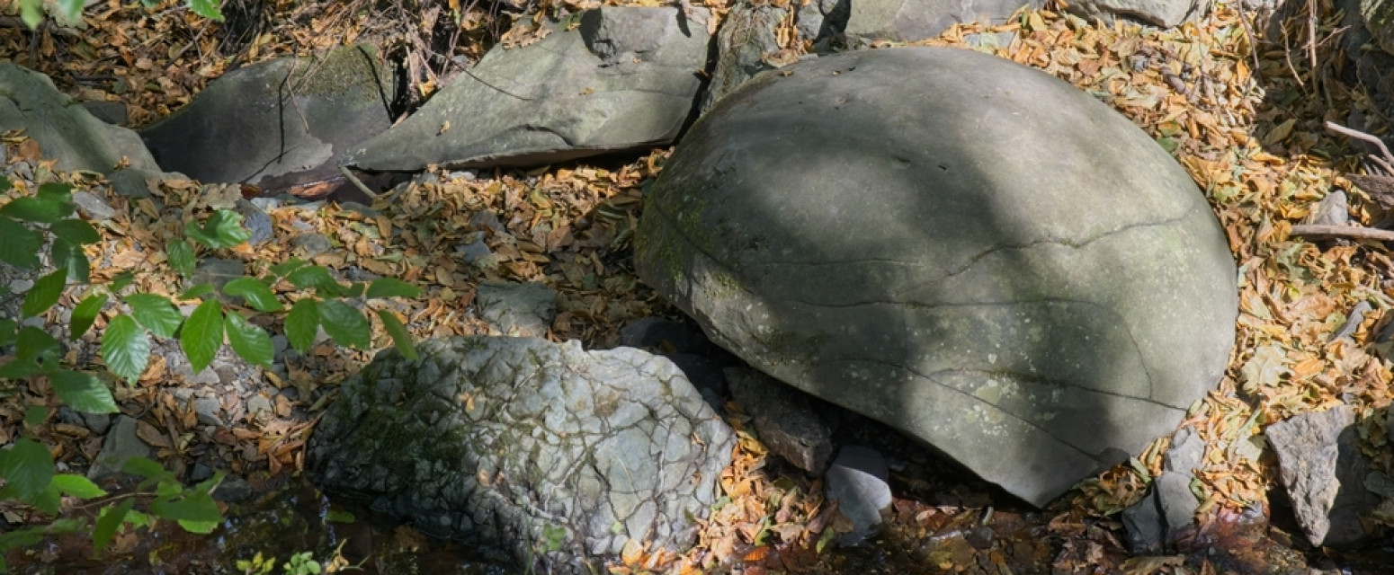 Najveće nalazište u Evropi, ali i najmisterioznije: Ove kamene kugle privlače pažnju celog sveta FOTO