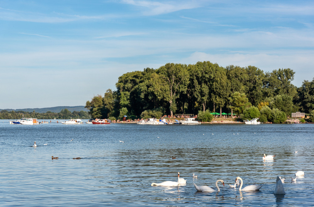 Evo kada se otvara omiljena beogradska plaža