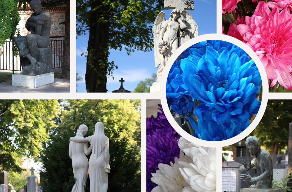Govor cveća: Margareta – simbol čistoće i nevinosti, ponovnog rođenja i večnog života
