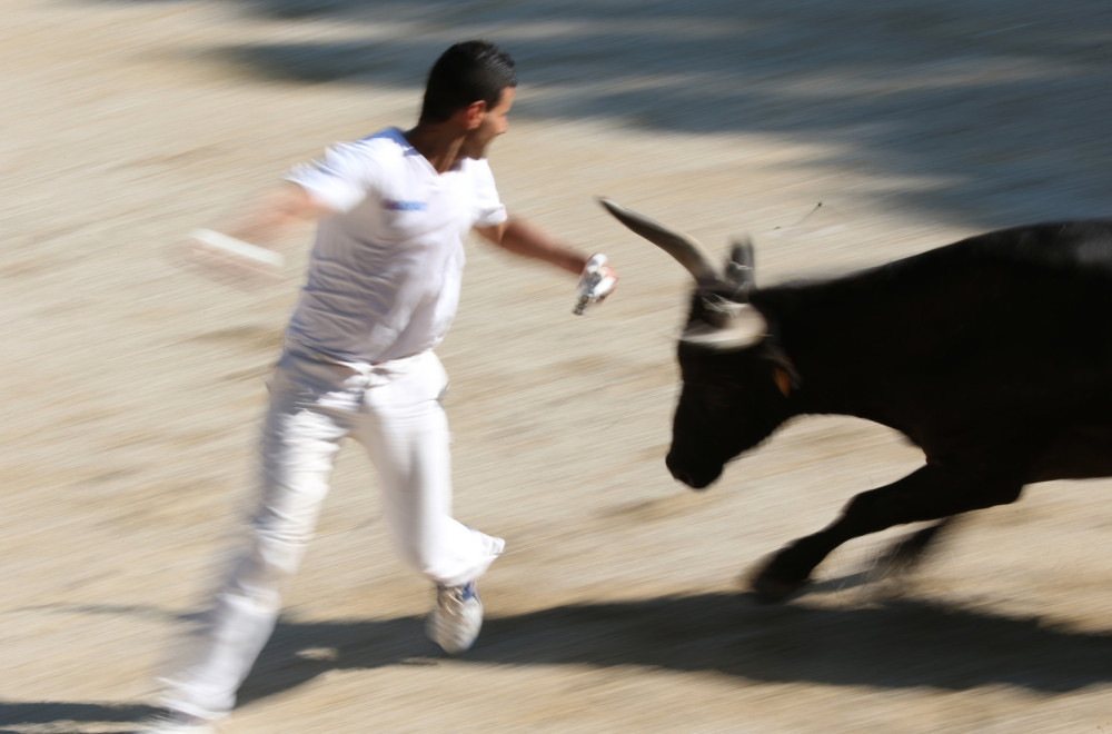 Haos na festivalu borbe sa bikovima u Španiji: Šestoro završilo u bolnici FOTO