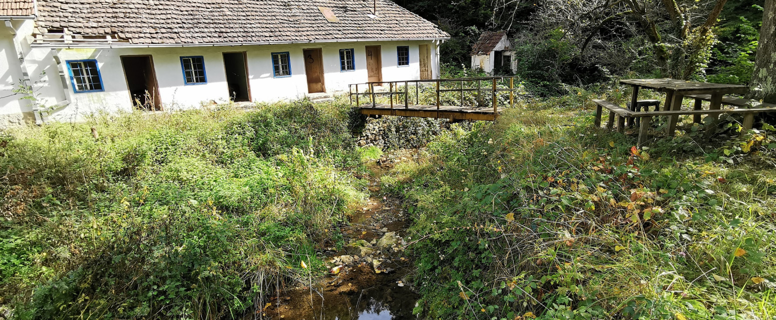 Srpska lekovita banja sakrivena usred šume: U Rošku banju dolazili u kolicima a odlazili na nogama FOTO