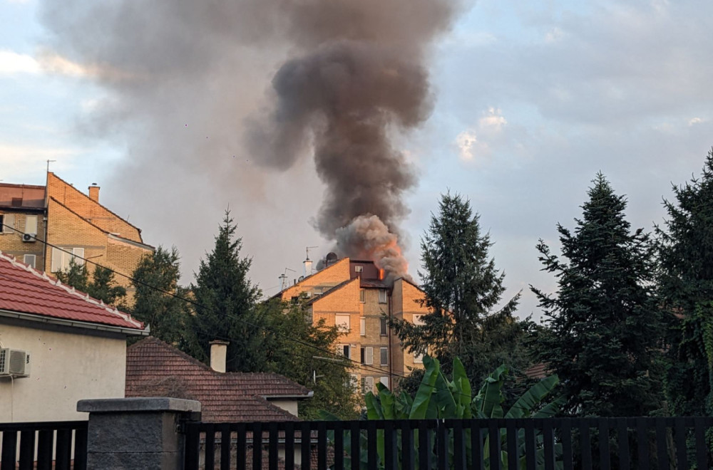 Veliki požar na Kanarevom brdu: Intervenisali vatrogasci FOTO/VIDEO