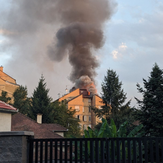 Veliki požar na Kanarevom brdu: Intervenisali vatrogasci FOTO/VIDEO