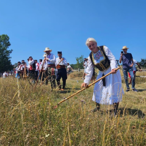 Kosi kao od šale, zamahuje muški: Gordana je jedina žena na "kosačkom Vimbldonu" FOTO