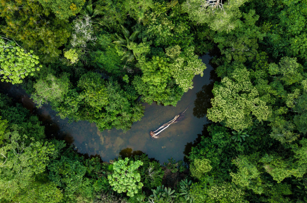 Neverovatni prizori: U Amazoniji snimljeno pleme sa kojim nikada nije stupljeno u kontakt FOTO/VIDEO