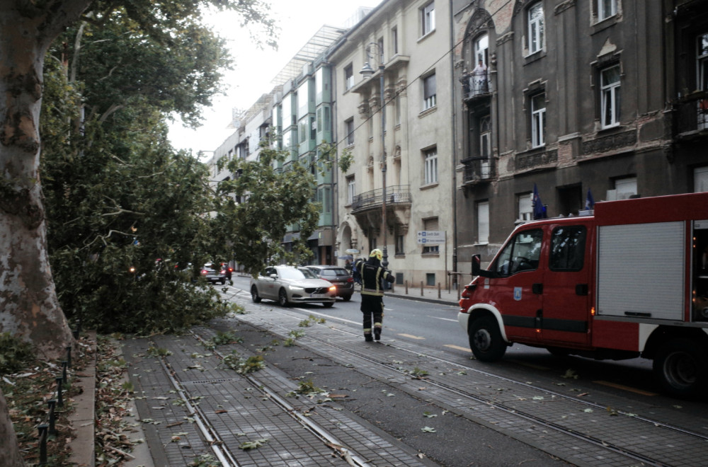 Haos u Bileći: Vetar obarao stabla i nosio crepove s krovova