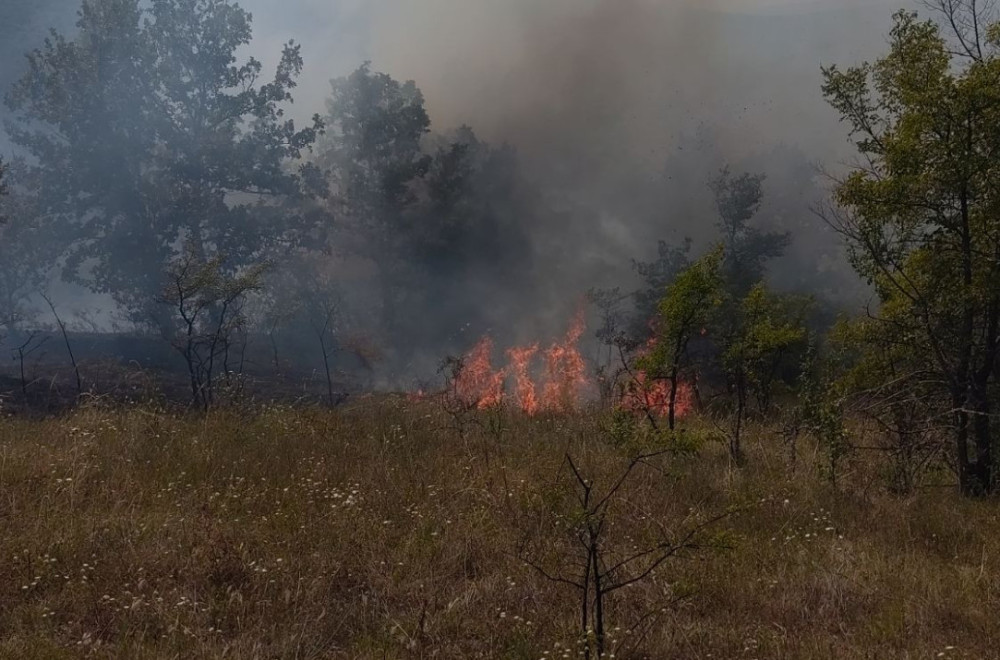 Ugašen veliki požar kod Pirota: Pretio da zahvati deo sela Crvenče