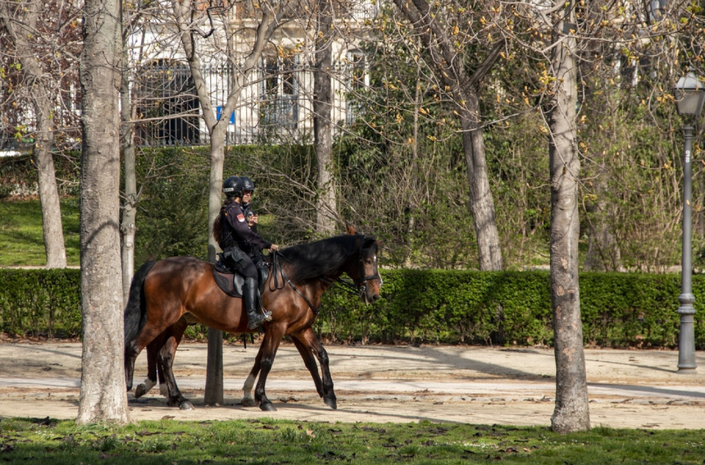 Četa konjanika Policijske brigade dobila novog neodoljivog člana FOTO