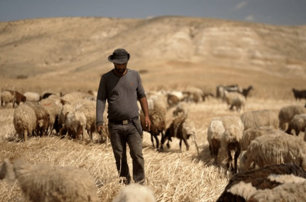 Izraelci koji se sa Palestincima suprotstavljaju nasilnim doseljenicima na Zapadnoj obali