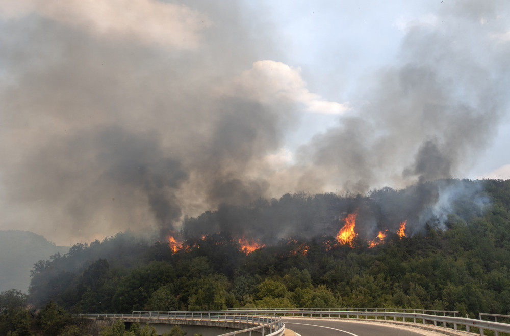 Gore požari na Tjentištu; Jedinice MUP-a na terenu