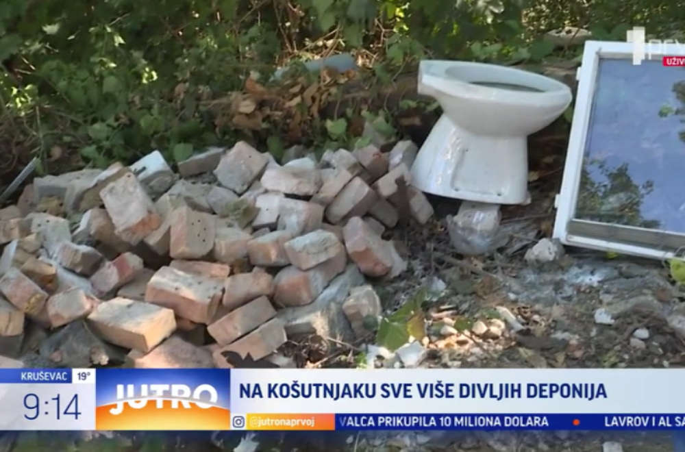 Kako rešiti gorući problem na Košutnjaku? VIDEO