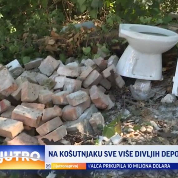 Kako rešiti gorući problem na Košutnjaku? VIDEO