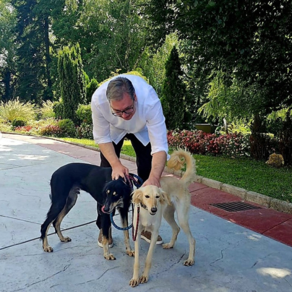 Oglasio se Vučić: Umorio sam se od bezočnih laži, odgovor političarima sledi večeras FOTO