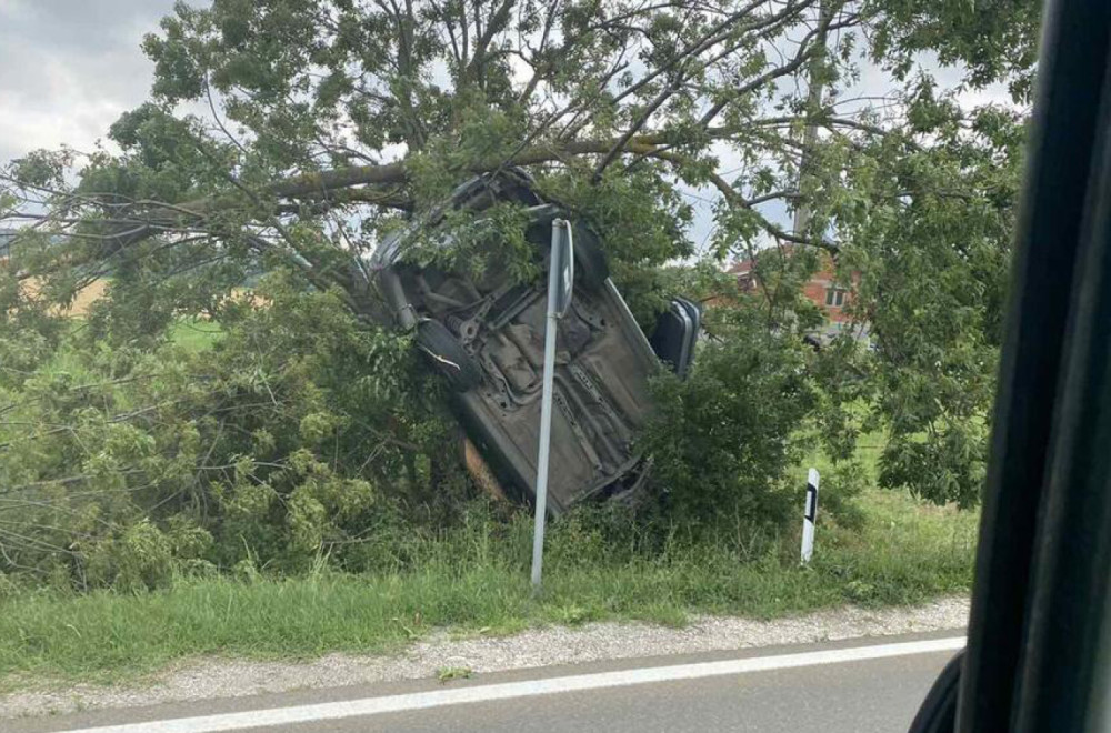 Šok u Kragujevcu: Vozač bmw-a se sudario, oborio drvo, a potom pobegao sa lica mesta