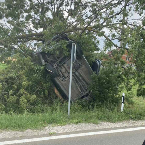 Šok u Kragujevcu: Vozač bmw-a se sudario, oborio drvo, a potom pobegao sa lica mesta