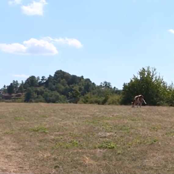 Ovo je srpsko selo u kojem je knez Lazar imao poslednju večeru sa velikašima pred Kosovsku bitku VIDEO