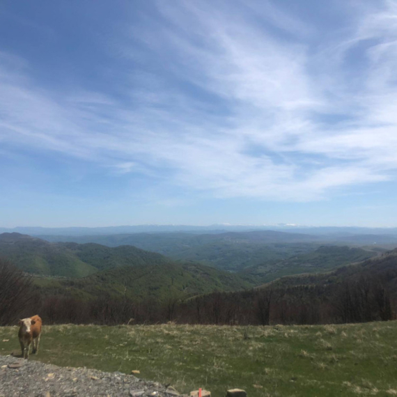 Dok Srbiju drma tropski talas, na ovoj srpskoj planini je prava uživancija FOTO