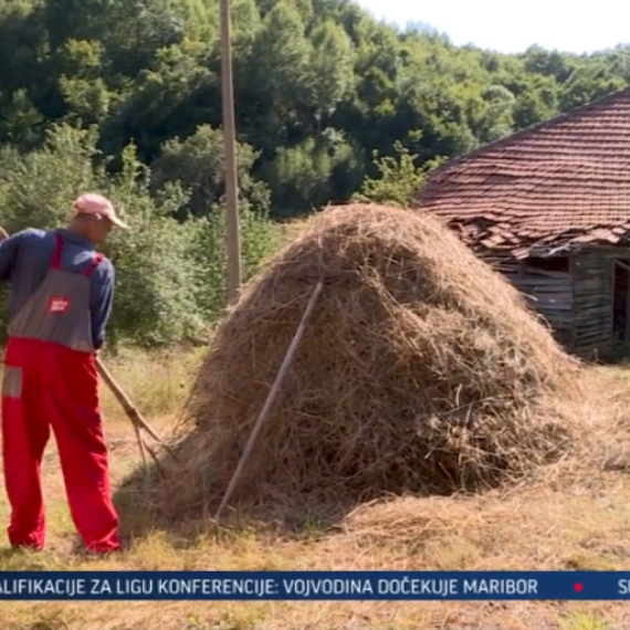 Brojne nedaće porodica u selima duž administrativne linije sa KiM VIDEO