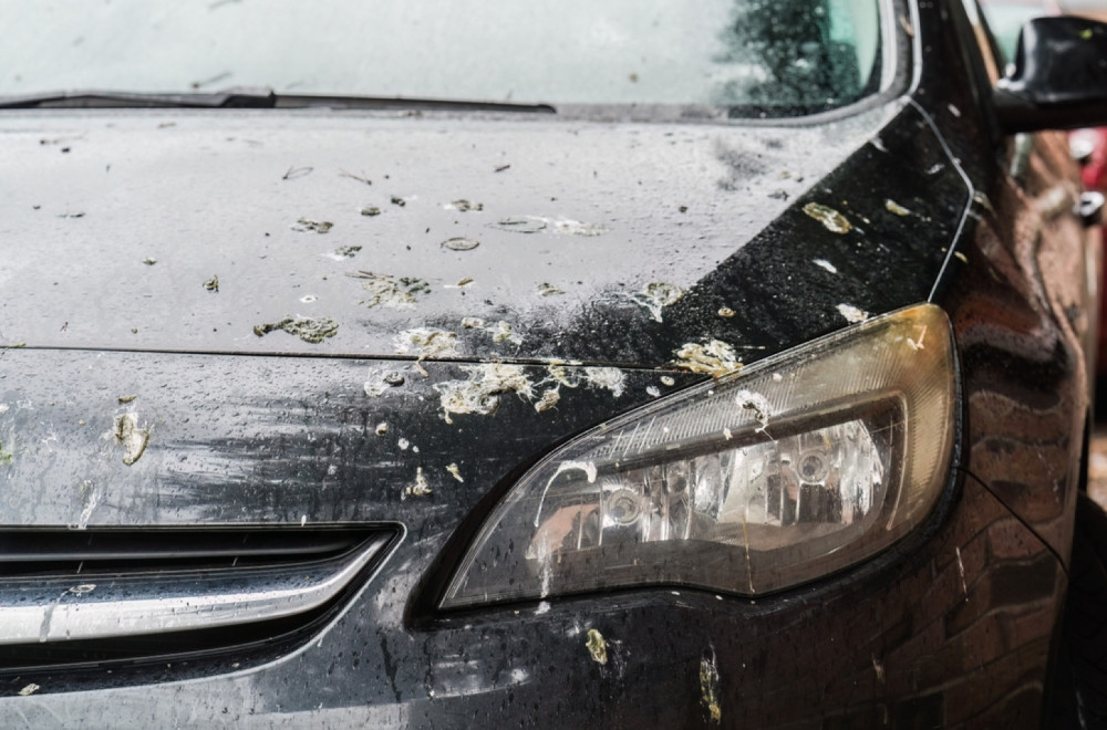 U ovoj zemlji dobijate kaznu zbog neurednog automobila!