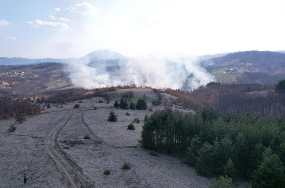 Drama kod Prijepolja: Vatra guta stabla Pančićeve omorike, stigla i dva helikoptera