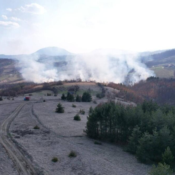 Drama kod Prijepolja: Vatra guta stabla Pančićeve omorike, stigla i dva helikoptera