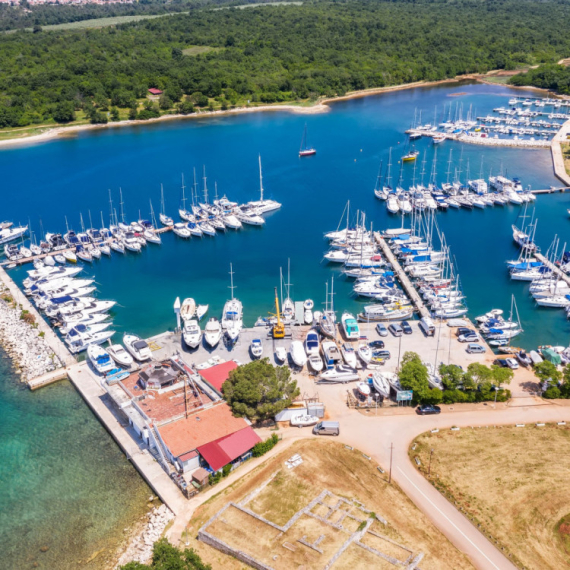 U selu kod Poreča neprijatno iznenađeni životinjama koje su "okupirale" mesto FOTO