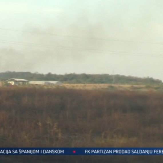 Izgorelo više od 10 hektara: Ovo su najnoviji detalji stravičnog požara kod Vinče VIDEO