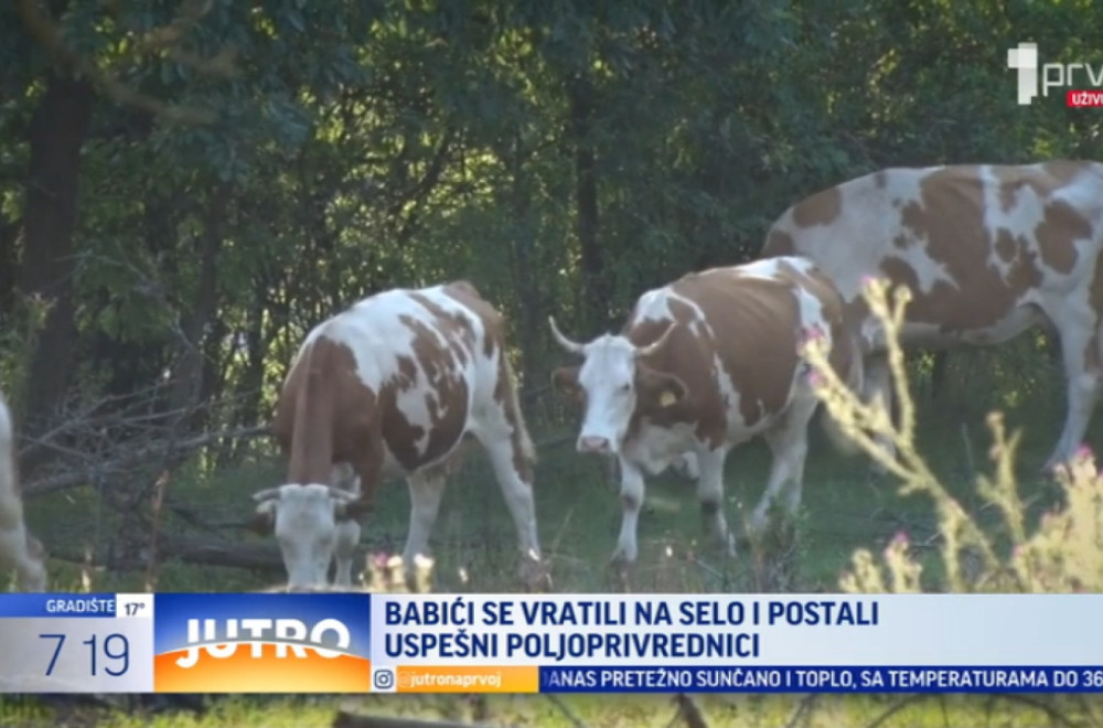 Vratili se na svoje selo i postali uspešni poljoprivrednici VIDEO