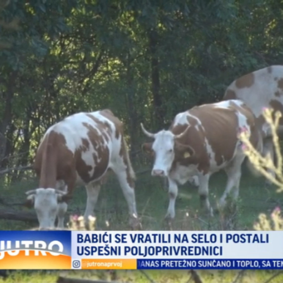 Vratili se na svoje selo i postali uspešni poljoprivrednici VIDEO